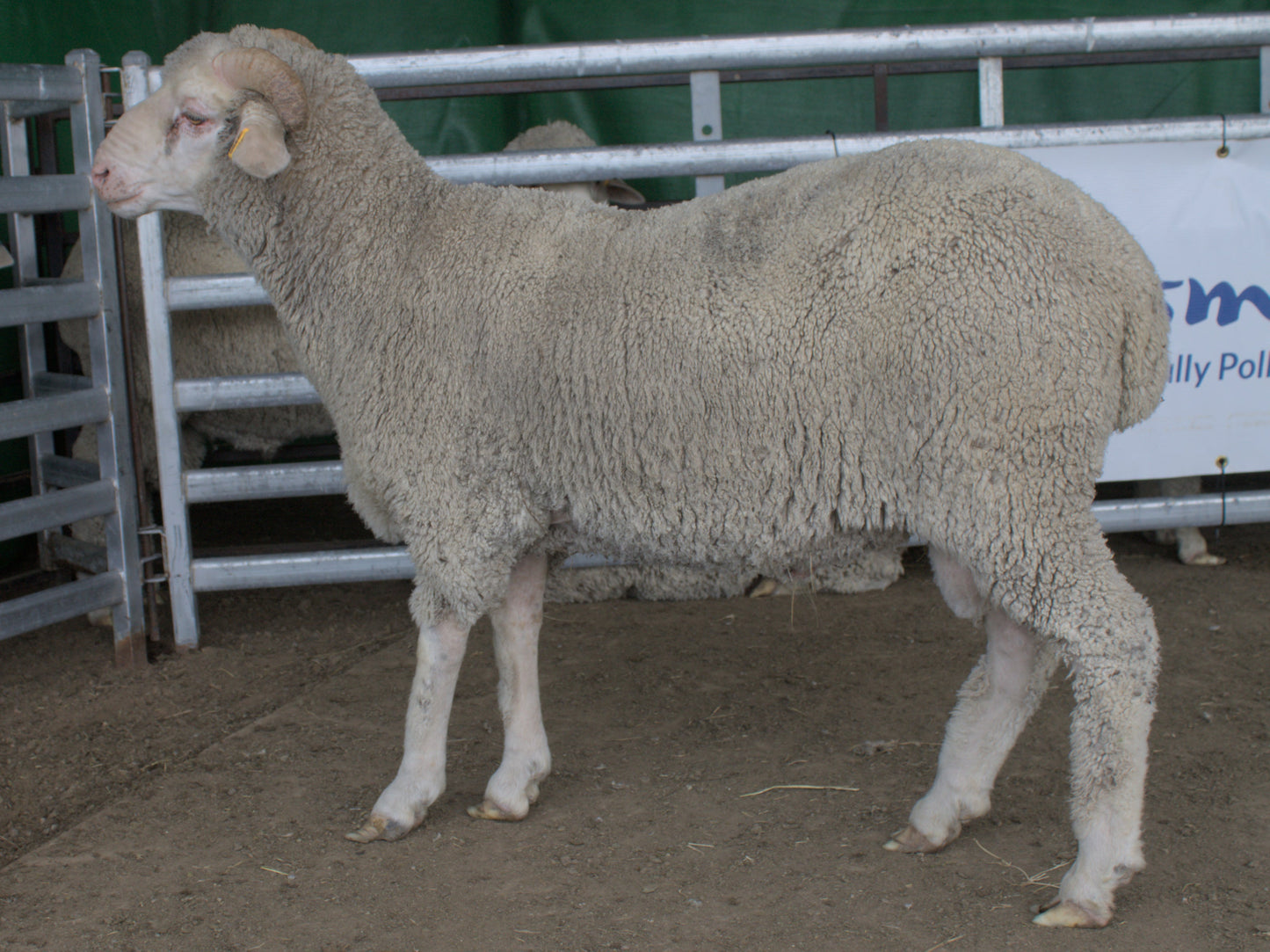 Photo of 23-7709