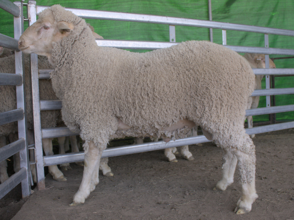 Photo of 25-1094