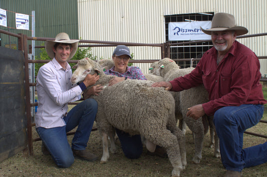 Central western growers snap up rams at Longreach Merino sale
