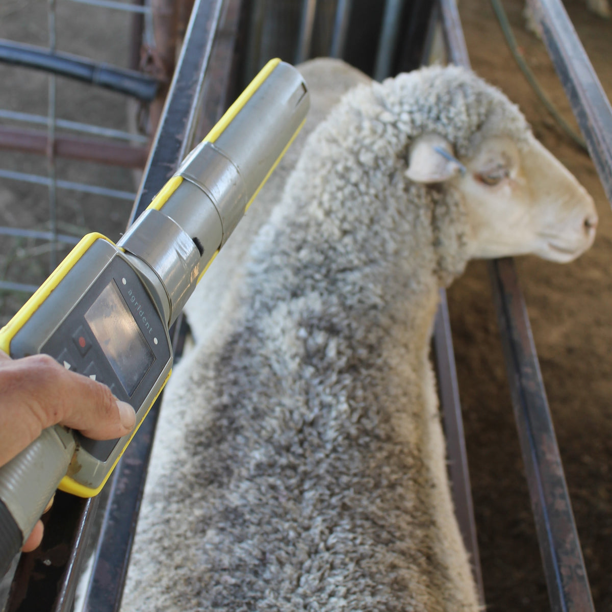 Starting to use data to assist classing – Rissmerino