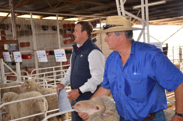 Leader today: "Rissmerino makes good sale in Longreach"