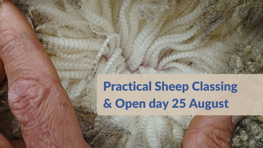 PAST EVENT: Practical Sheep Classing Day with Mark Ferguson