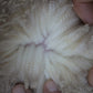 Wool parting of 23-6836