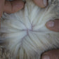 Wool parting of 23-7669