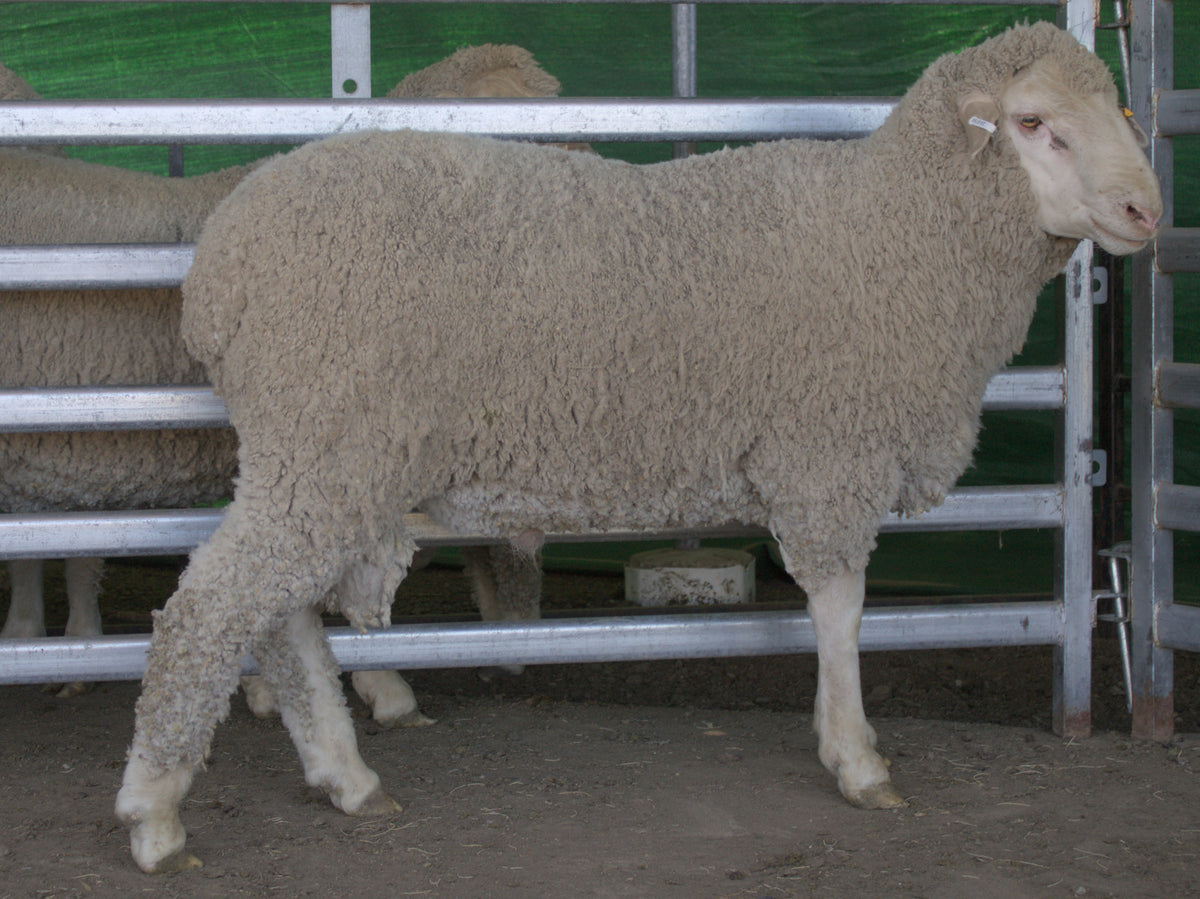 Photo of 25-0700