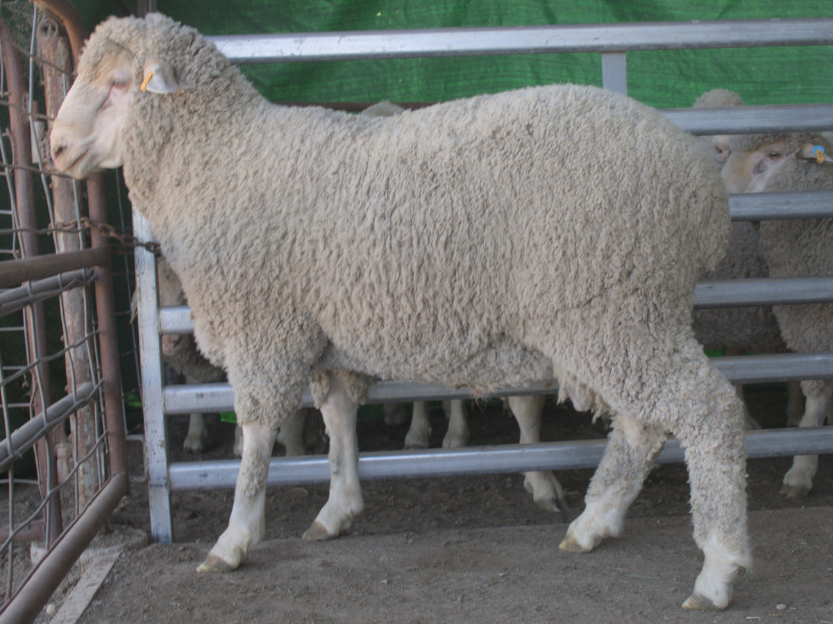 Photo of 25-9997